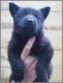/album/vrh-j/pet-tydnu-kopie-6-1-jpg/